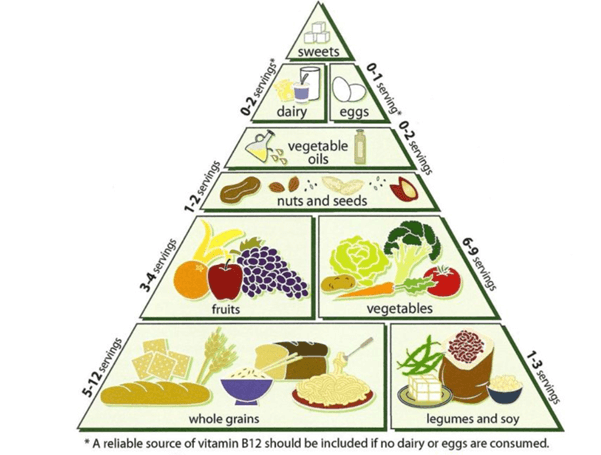 food pyramid.png